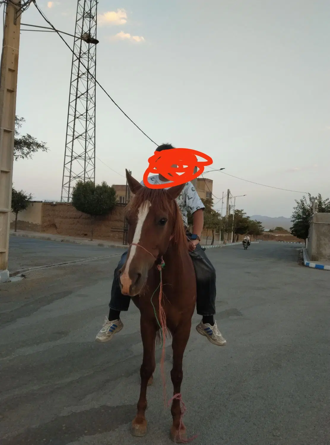 09190649723|سیم‌کارت|اشتهارد, |دیوار