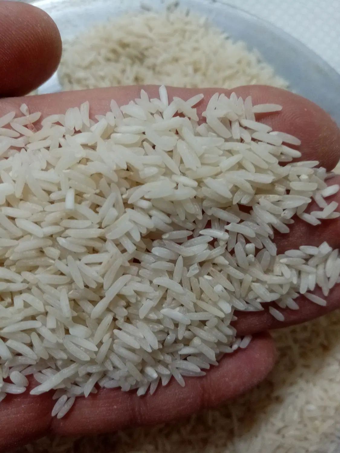 برنج هاشمی و طارم هاشمی|خوردنی و آشامیدنی|تهران, جنت‌آباد جنوبی|دیوار