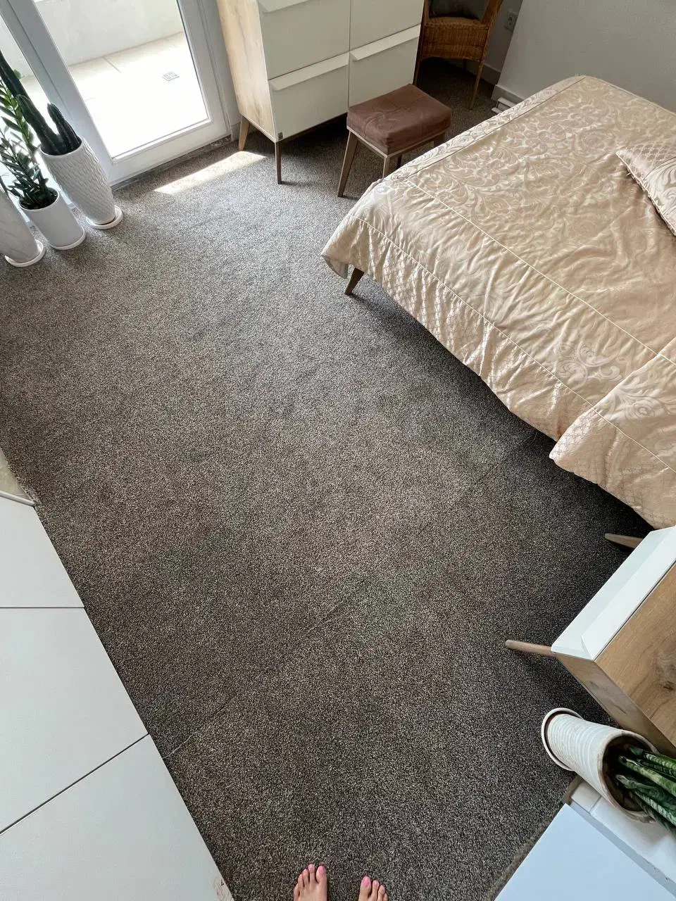 موکت پالاز|موکت|دوگنبدان, |دیوار