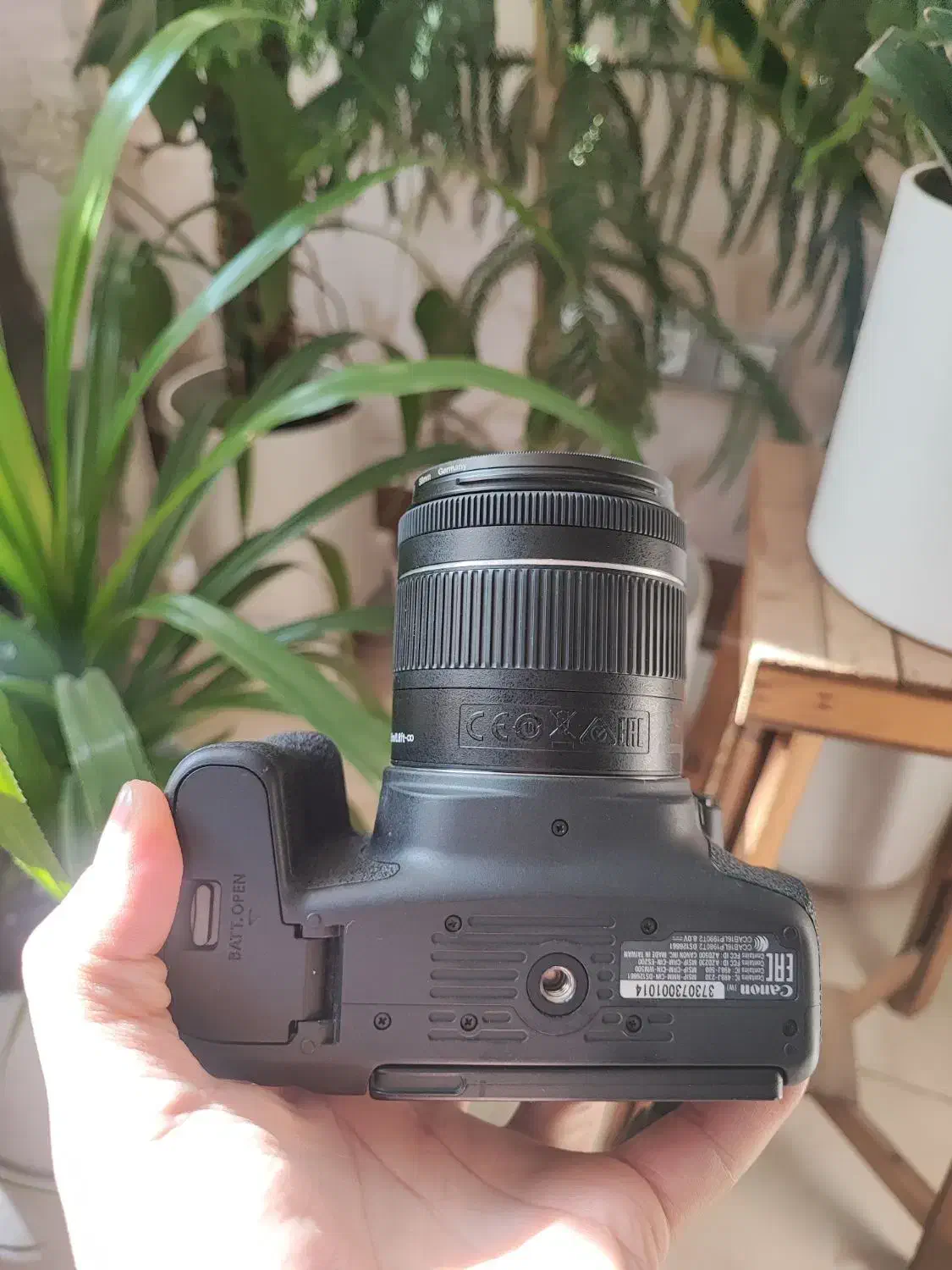 دوربین عکاسی Cannon 800D|دوربین عکاسی و فیلم‌برداری|شیراز, باغ تخت|دیوار