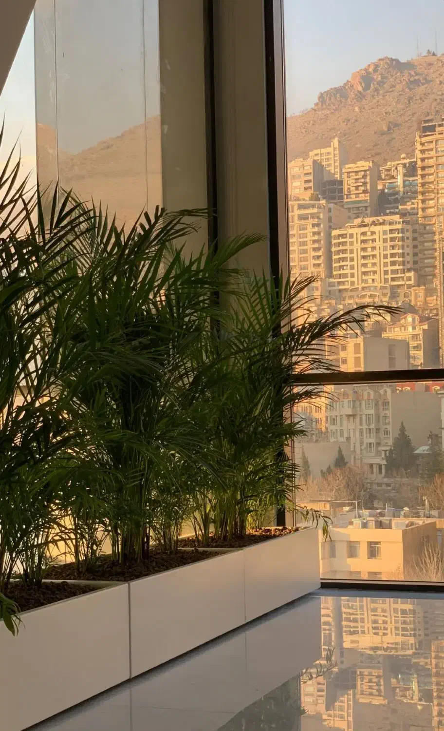 فلاور باکس و گلدان فلزی|گل و گیاه طبیعی|پاکدشت, خاتون آباد|دیوار