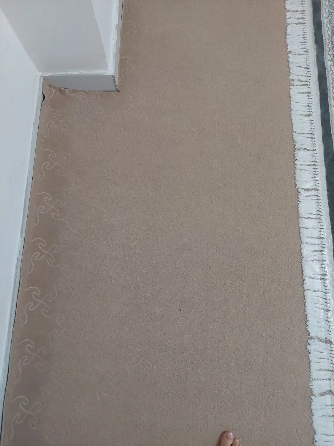 ۴۸متر موکت کاملا نو|موکت|بندر امام خمینی, |دیوار