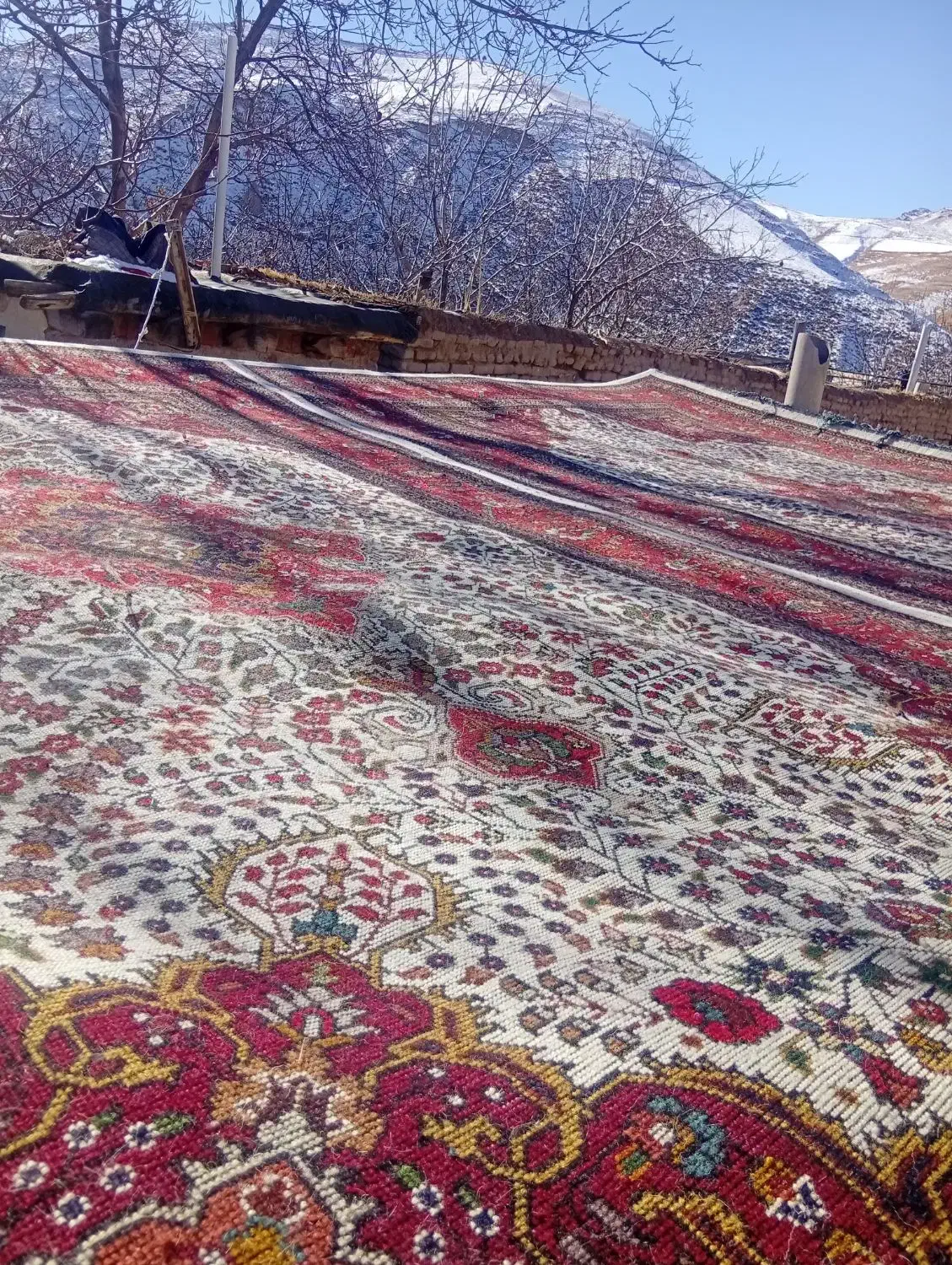 جفت 6متری کرمان قلم|فرش|آذرشهر, |دیوار