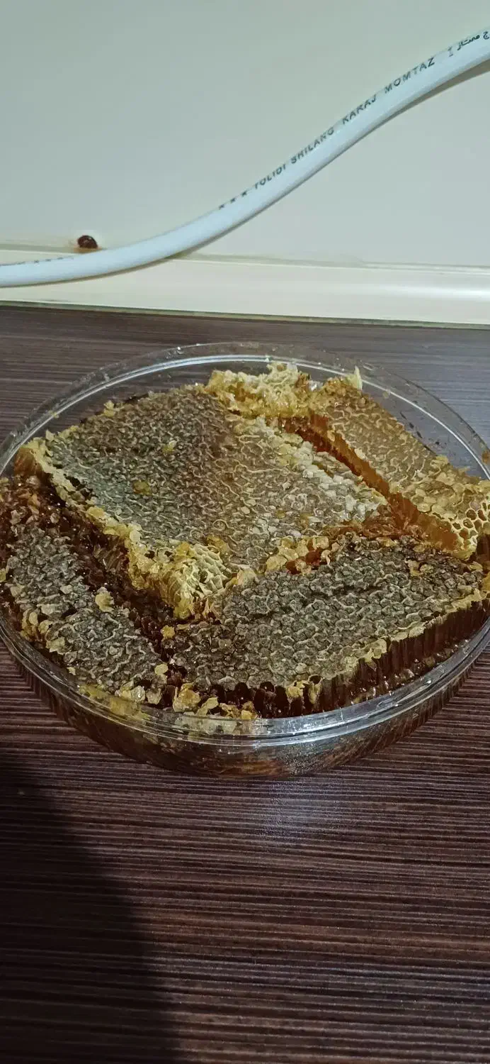 عسل طبیعی|خوردنی و آشامیدنی|ماکو, |دیوار