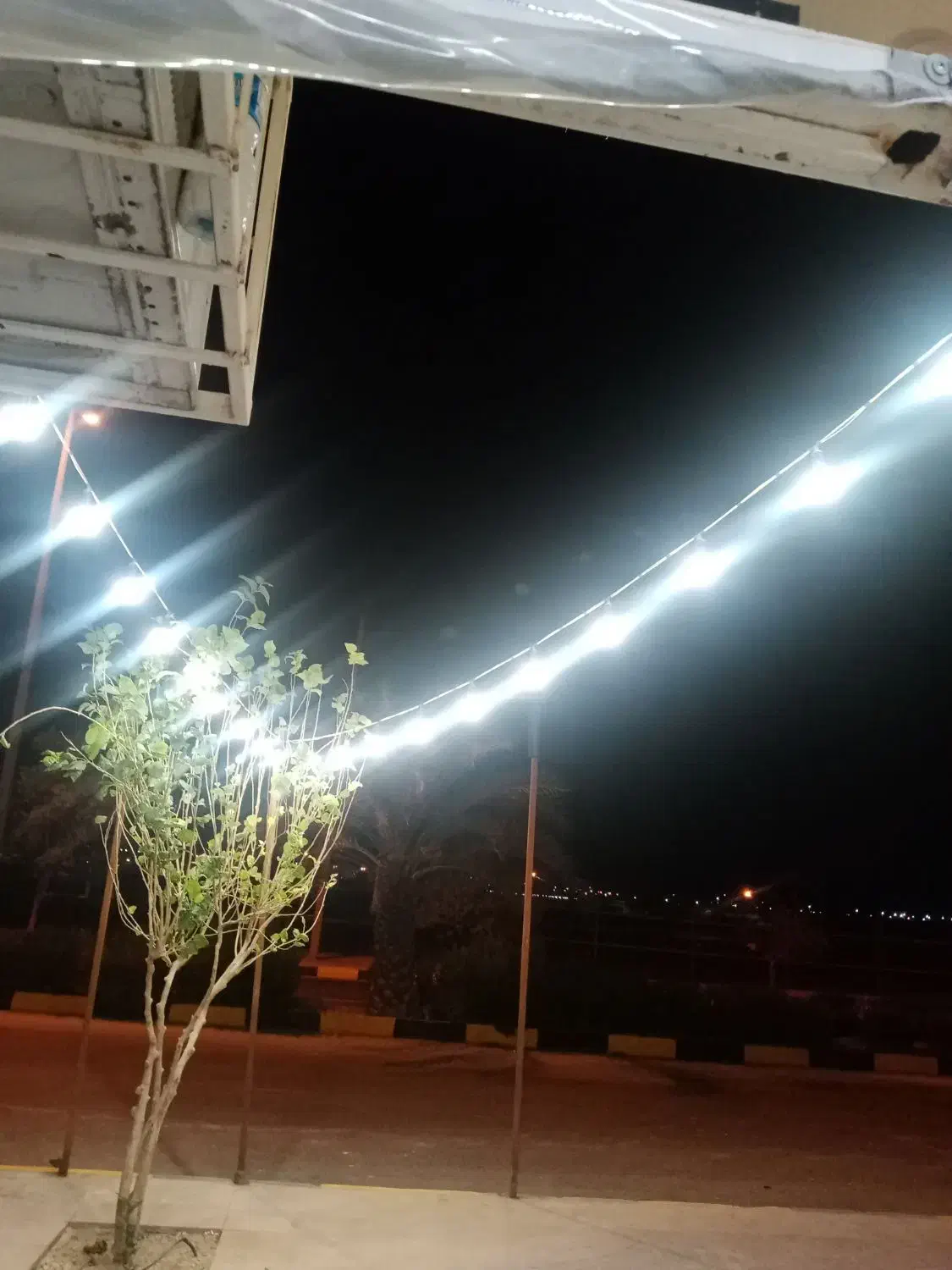 لوازم میوه فروشی|فروشگاه و مغازه|جم, |دیوار