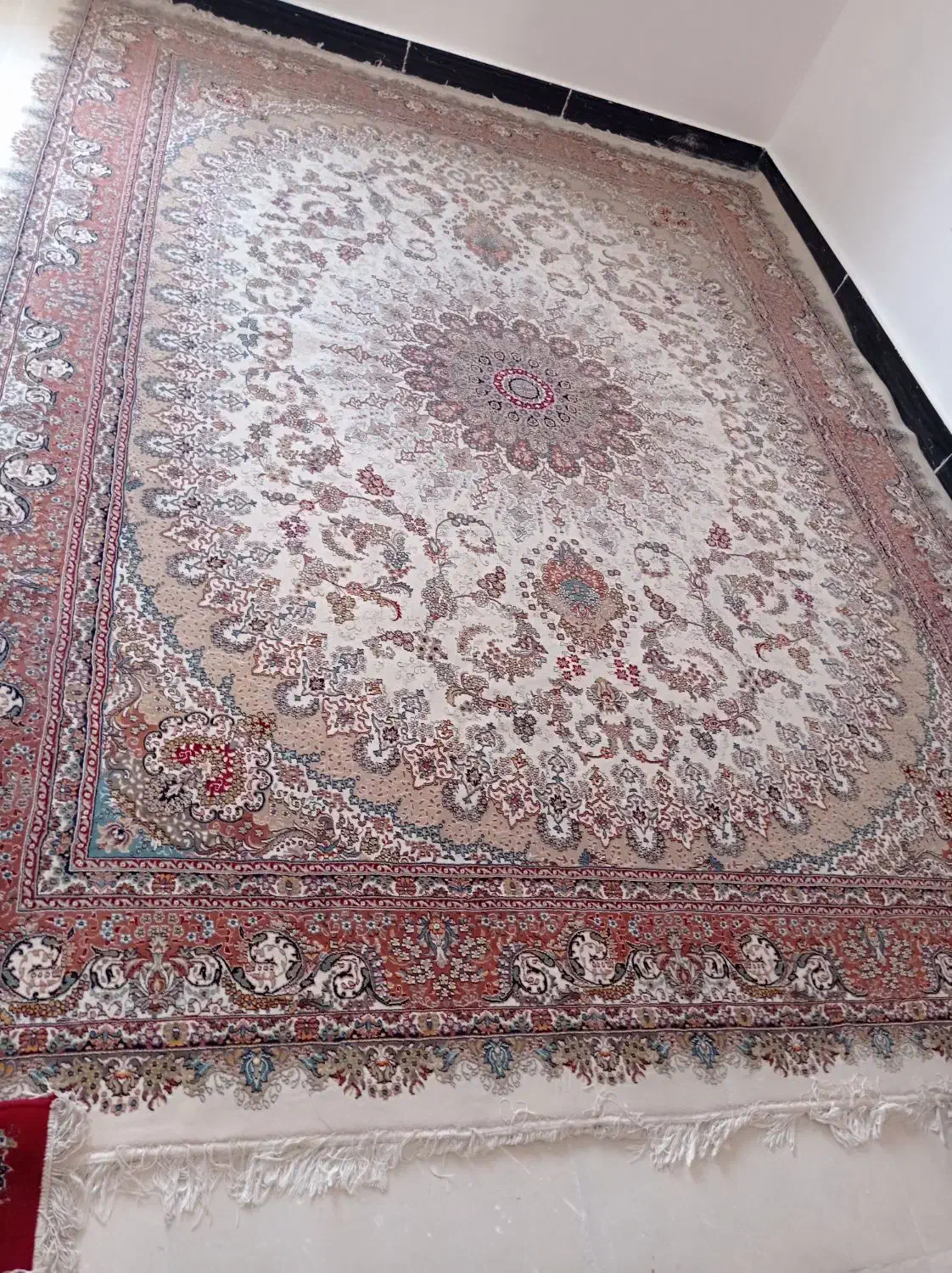 قالی کاشان نو تمیز|فرش|بندر امام خمینی, |دیوار