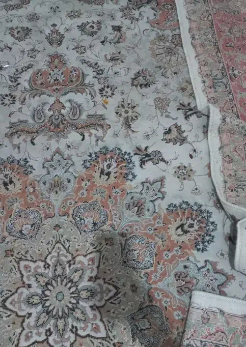 فرش ۱۲متری|فرش|گرگان, |دیوار