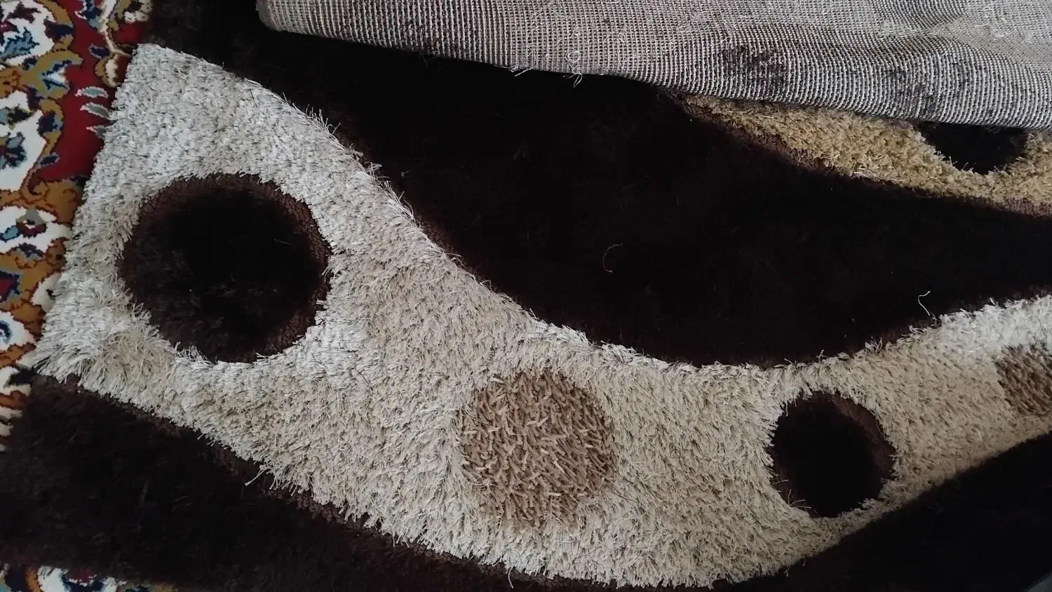 فرش فانتزی نو|فرش|نیشابور, شهرک پردیس|دیوار