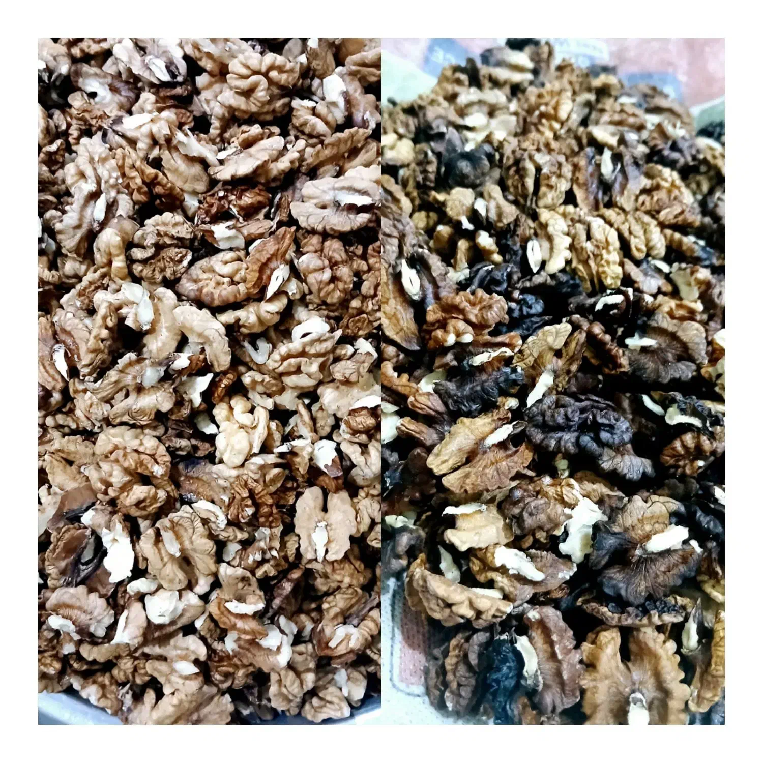 گردو  ونایی|خوردنی و آشامیدنی|اشترینان, |دیوار