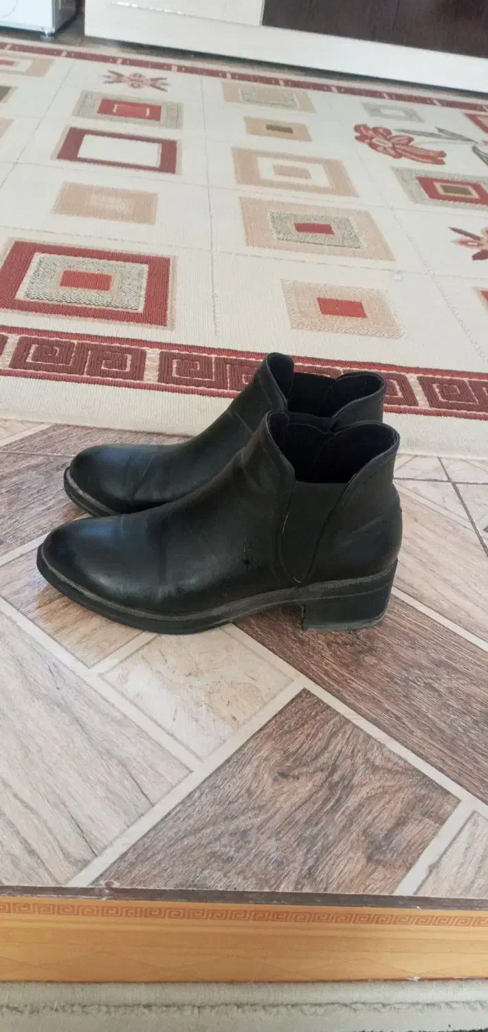 نیم بوت|کیف، کفش، کمربند|تربت‌حیدریه, اندیشه|دیوار