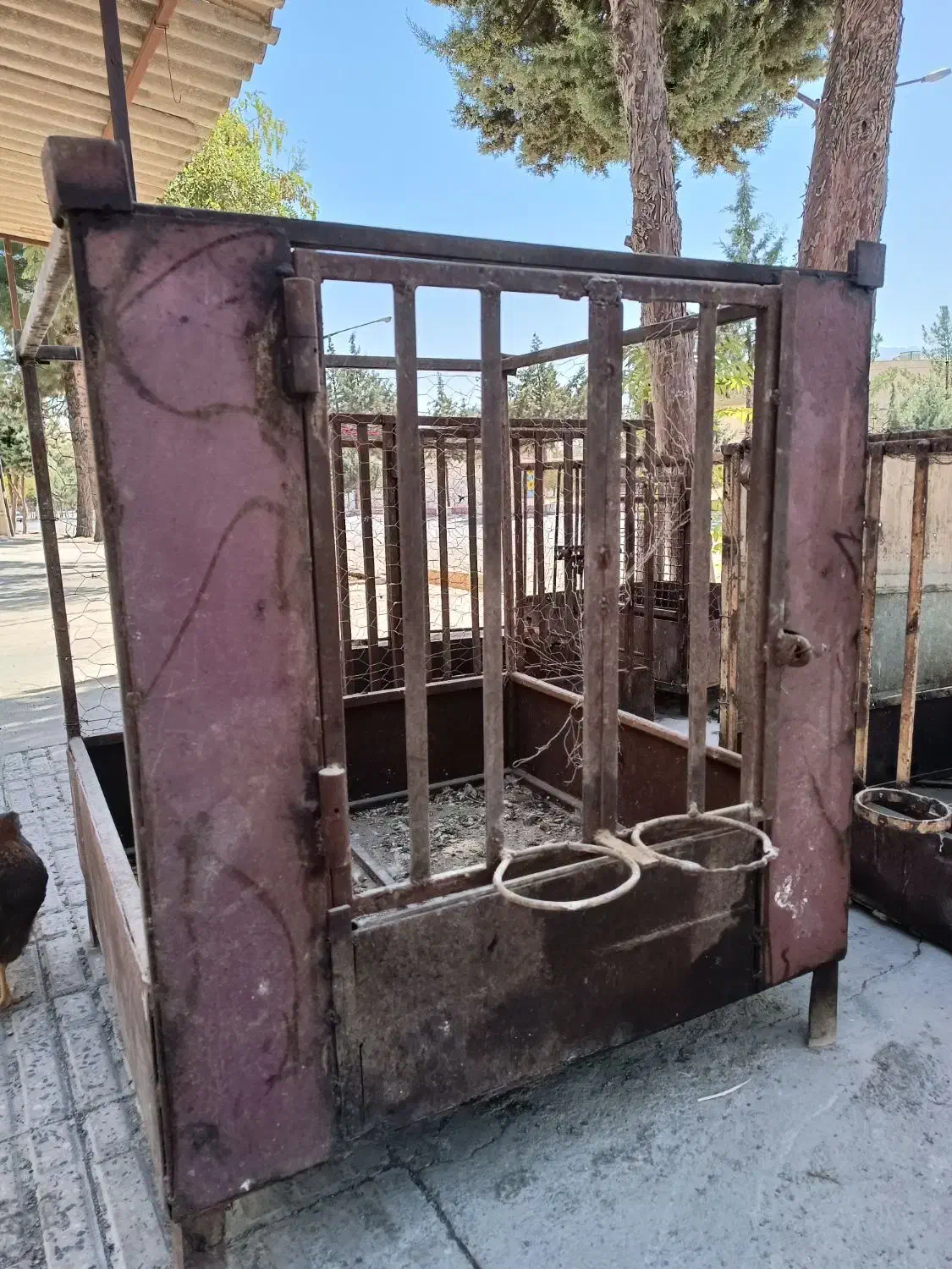 قفس فلزی وچوبی|لوازم جانبی حیوانات|صحنه, |دیوار