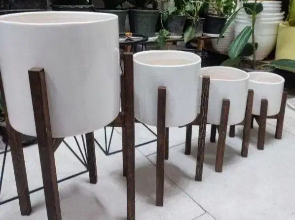 گلدان وپایه گلدان|گل و گیاه طبیعی|بیرجند, |دیوار