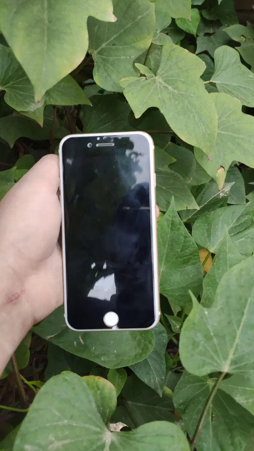 ایفون 6s 64|موبایل|اهواز, شهرک پیام|دیوار