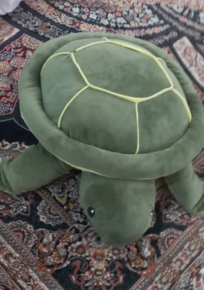 لاک پشت جنس عالی|اسباب‌‌بازی|فشاپویه, |دیوار