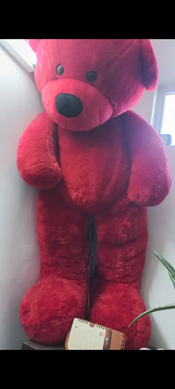 عروسک ولنتاین کادویی در حد نو|اسباب‌‌بازی|میانه, |دیوار