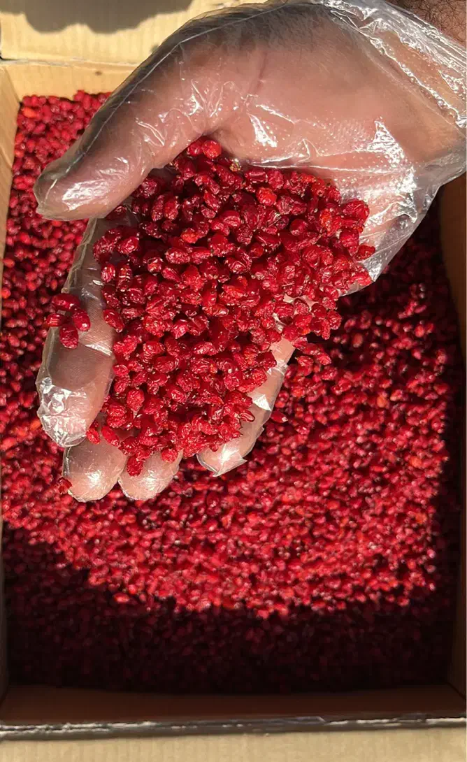 زرشک پفکی اعلا|خوردنی و آشامیدنی|تهران, انبار نفت|دیوار