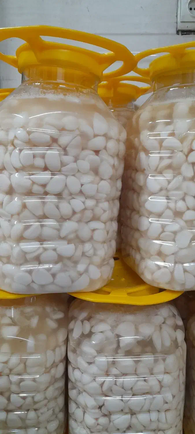 سیر ترشی مروارید صدفی درجه یک درشت امسالی|خوردنی و آشامیدنی|تهران, حکیمیه|دیوار