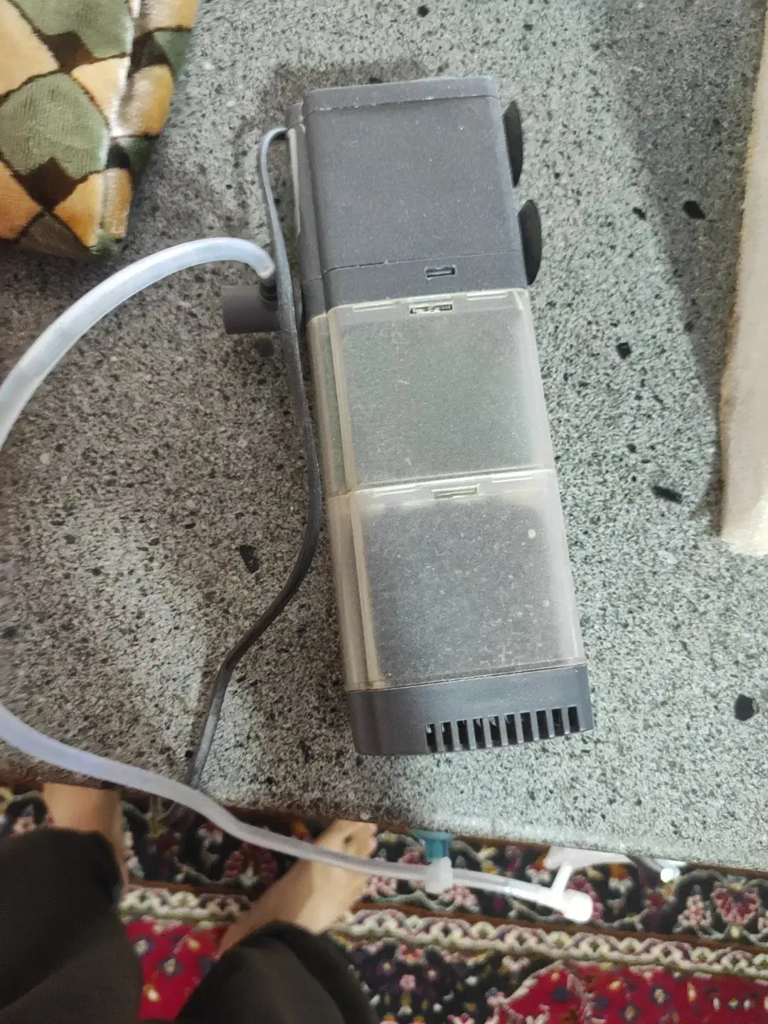 اکواریوم با ماهی معاوضه با پرنده|ماهی|خواف, |دیوار