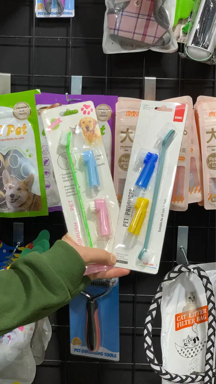 مسواک های مخصوص گربه|لوازم جانبی حیوانات|بانه, |دیوار