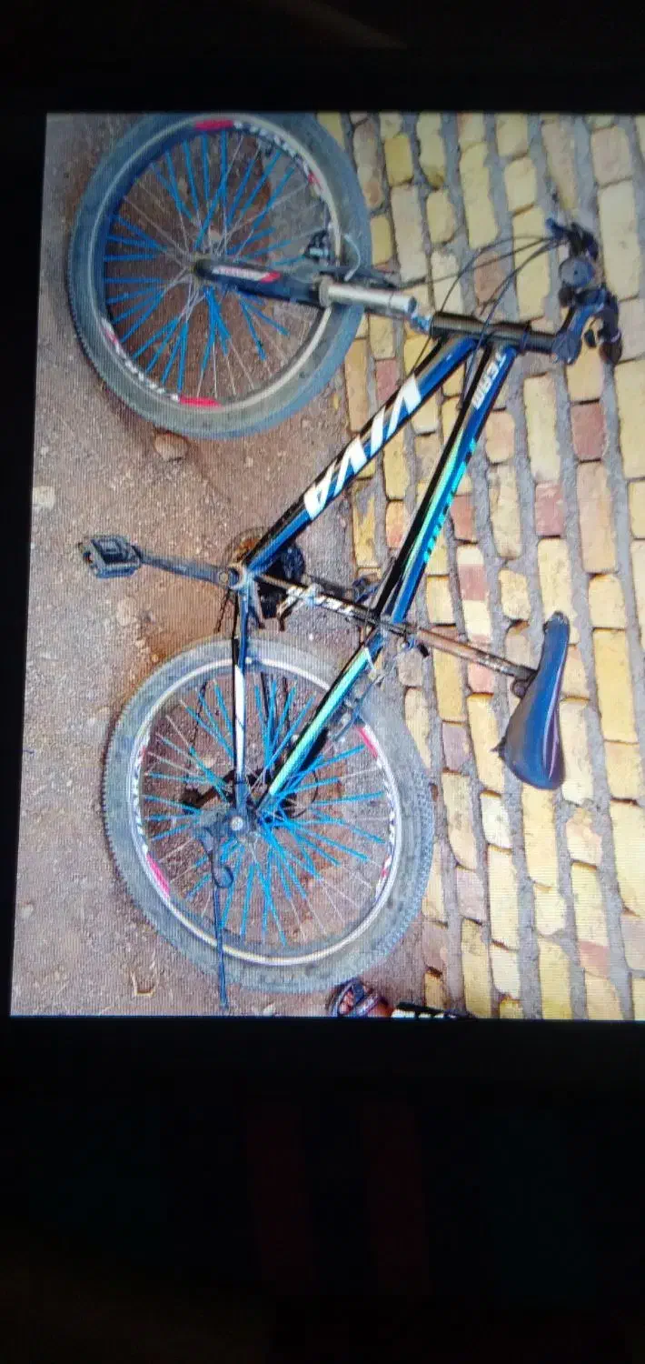 دوچرخه ویوا 24|دوچرخه، اسکیت، اسکوتر|قیدار, |دیوار