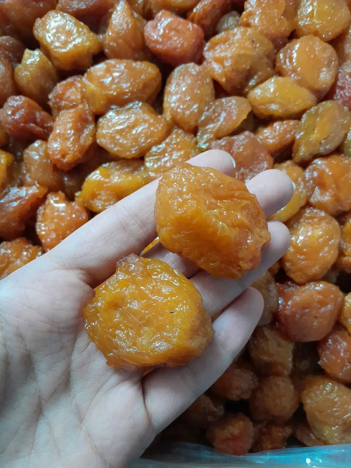 آلوی درشت و گوشتی|عمده‌فروشی|مشهد, کارمندان دوم|دیوار