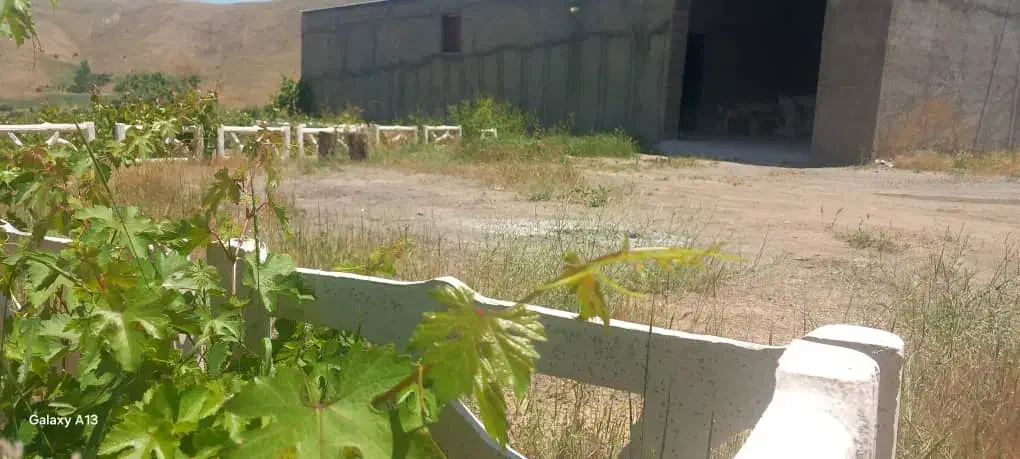 باغ و دامپروری|فروش دفتر صنعتی، کشاورزی، تجاری|سنندج, |دیوار