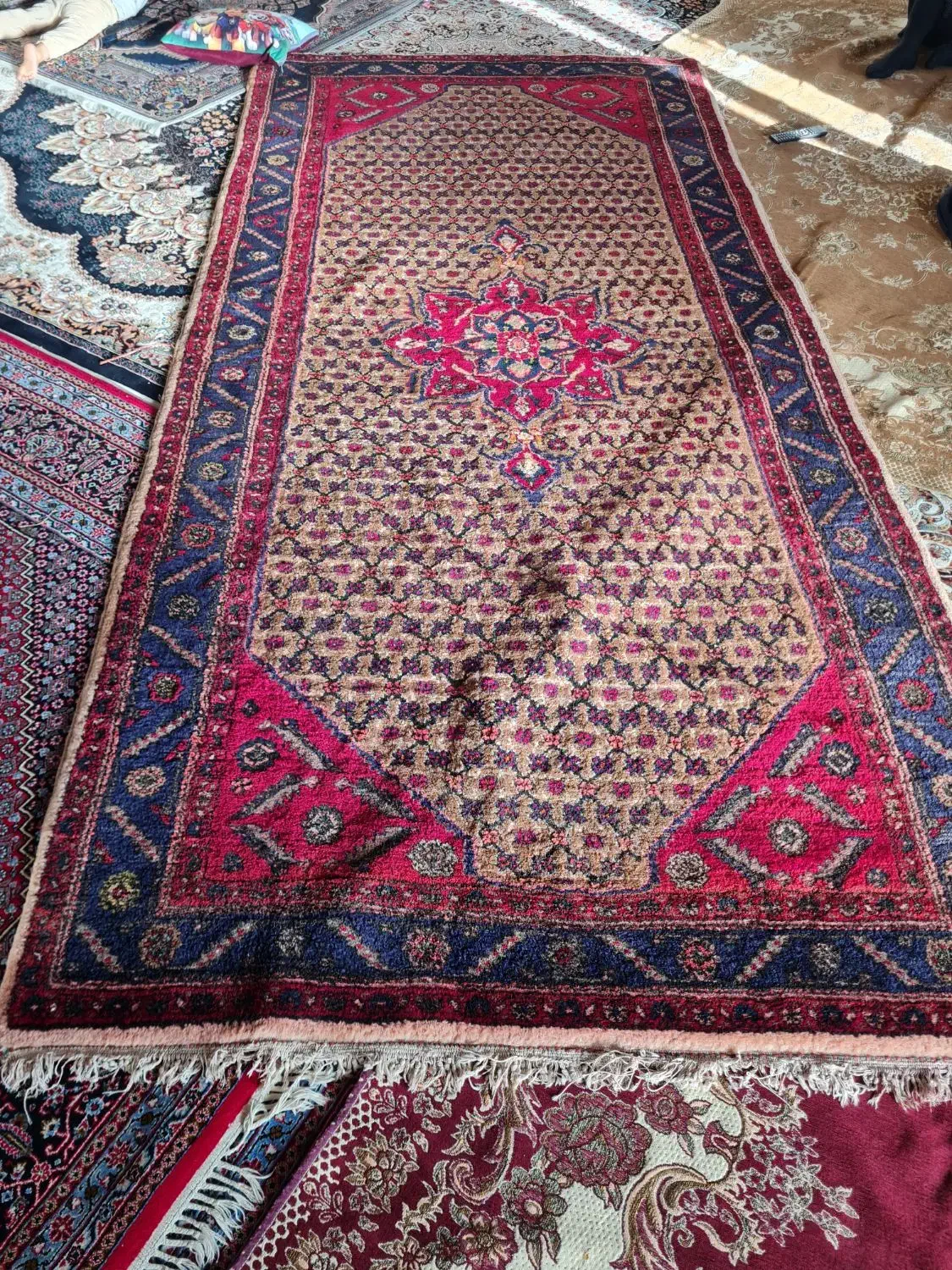 فرش دستبافت|فرش|فیروزآباد, |دیوار