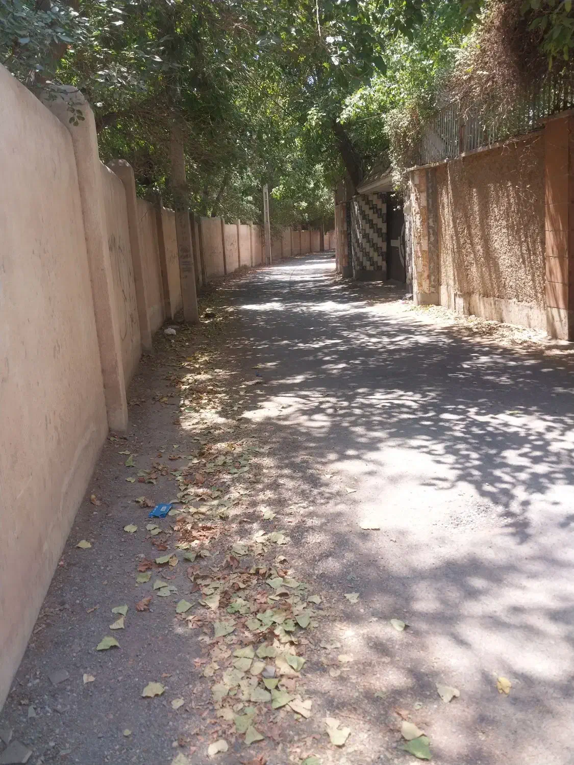 ۴۶۰۰متر باغ سند تک برگ عباس آباد|فروش زمین و ملک کلنگی|محمدشهر, عباس آباد|دیوار