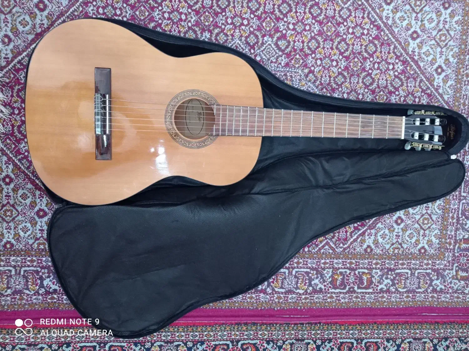 گیتار Hofnet hac204|گیتار، بیس، امپلیفایر|شیراز, گل سرخ|دیوار