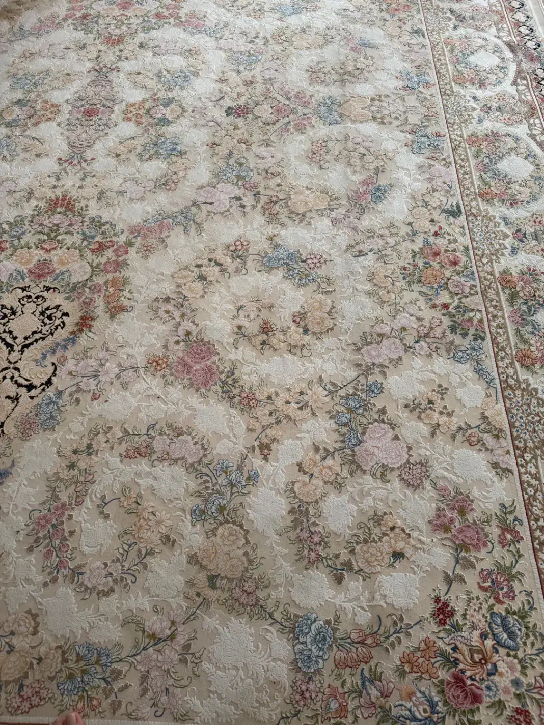 فرش۱۲۰۰شانه|فرش|سبزوار, هویزه|دیوار