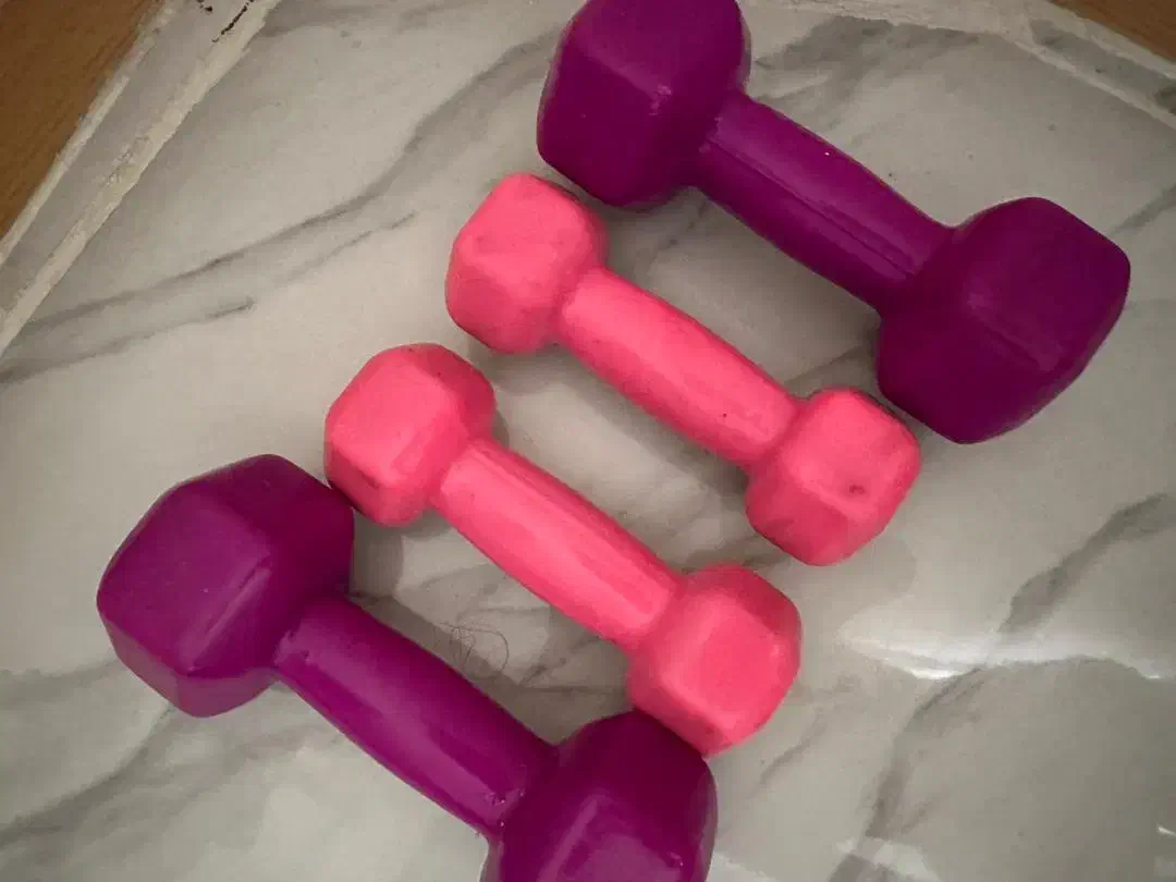 دمبل دو و چهار کیلویی|تجهیزات ورزشی|رشت, انصاری|دیوار