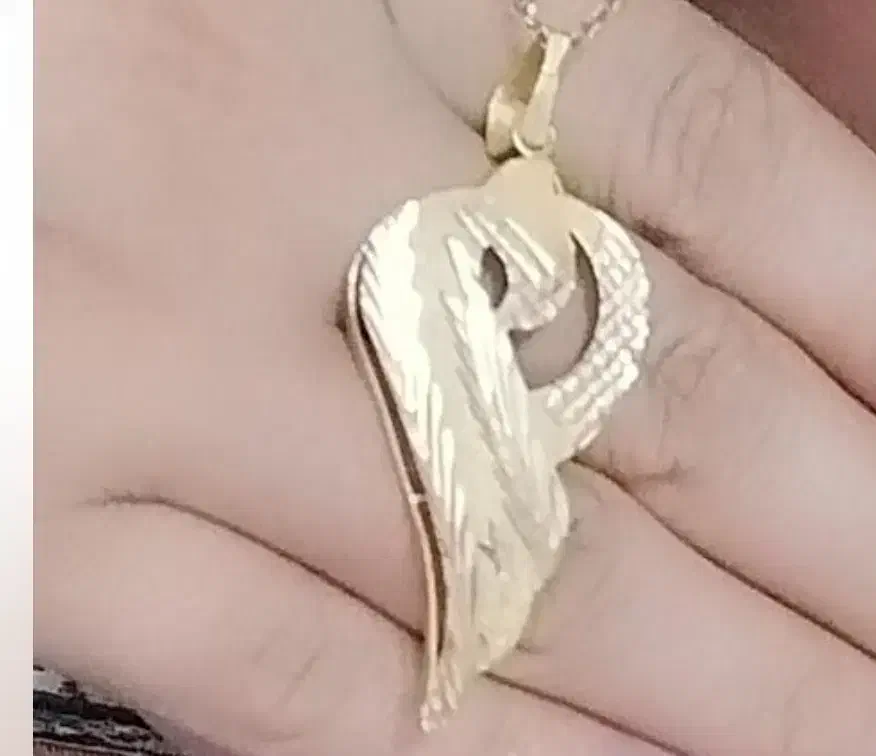 گمشده یک عدد پلاک|اشیا|مراغه, |دیوار