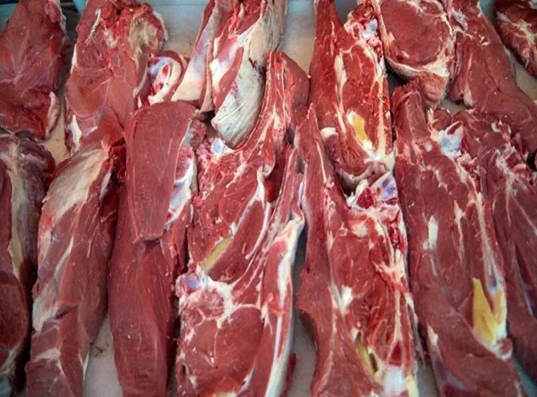 قصابی|خوردنی و آشامیدنی|اهر, |دیوار