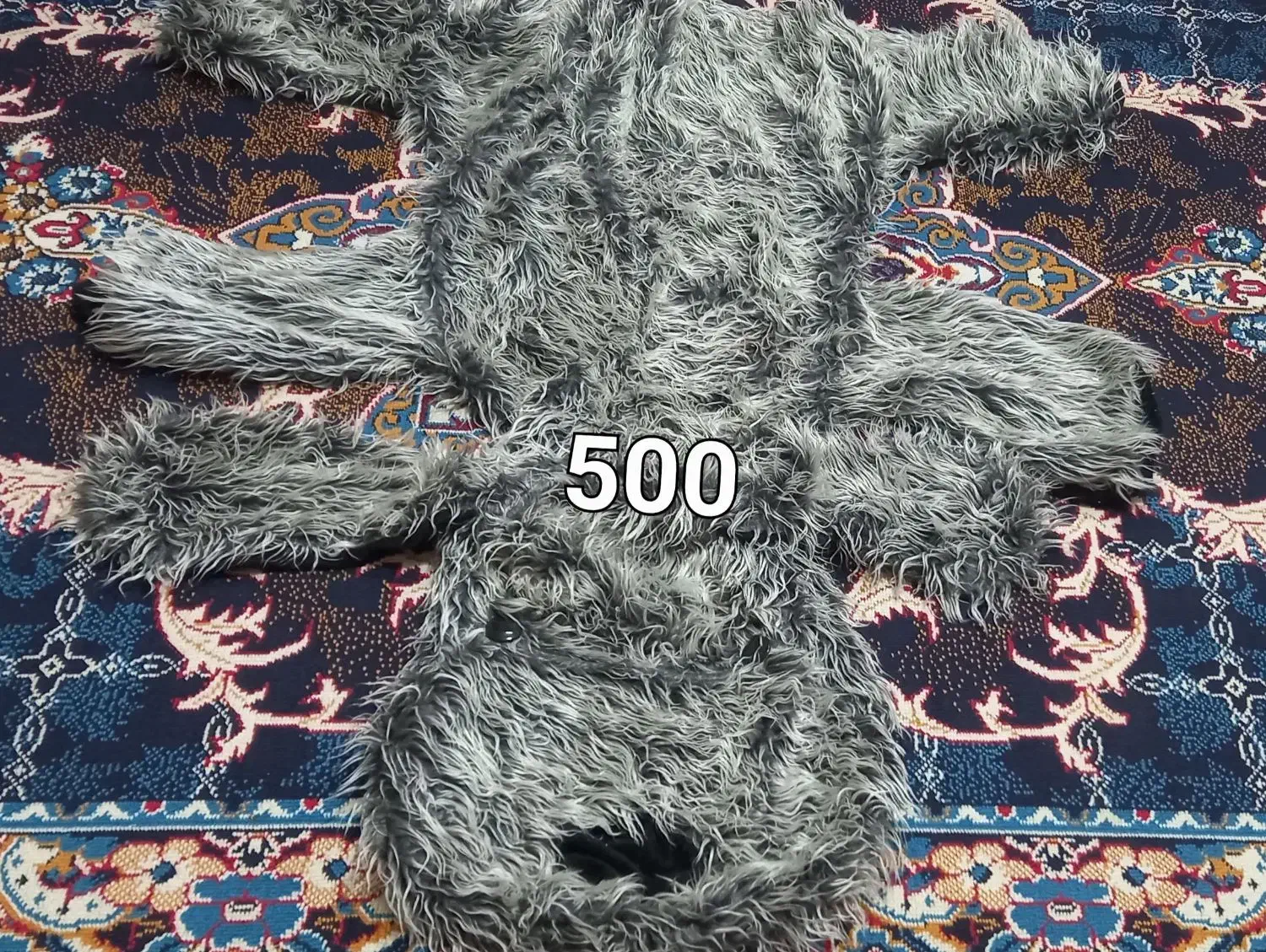 سگ پشمی زیبا|پادری|بروجرد, |دیوار