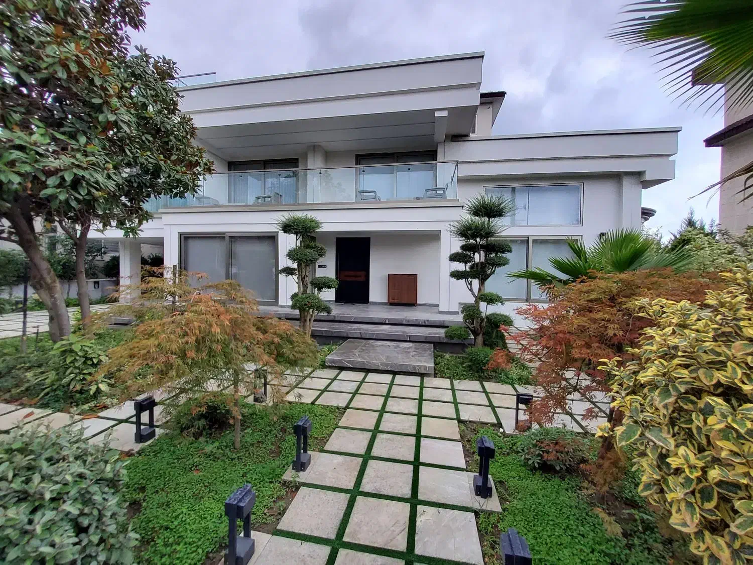 اماده قبول سرپرستی پودل نر|سگ|سلمان‌شهر, |دیوار