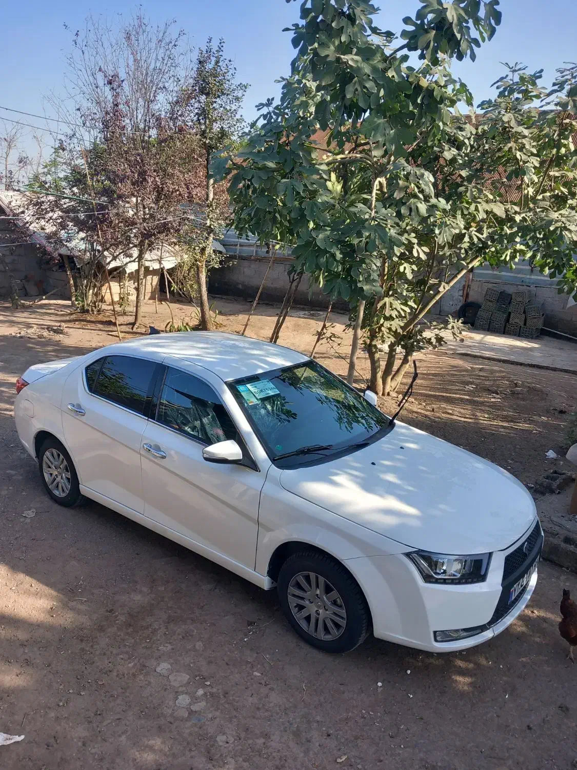 دناپلاس ۶ دنده ۱۴۰۴|خودرو سواری و وانت|رشت, اسماعیل آباد|دیوار