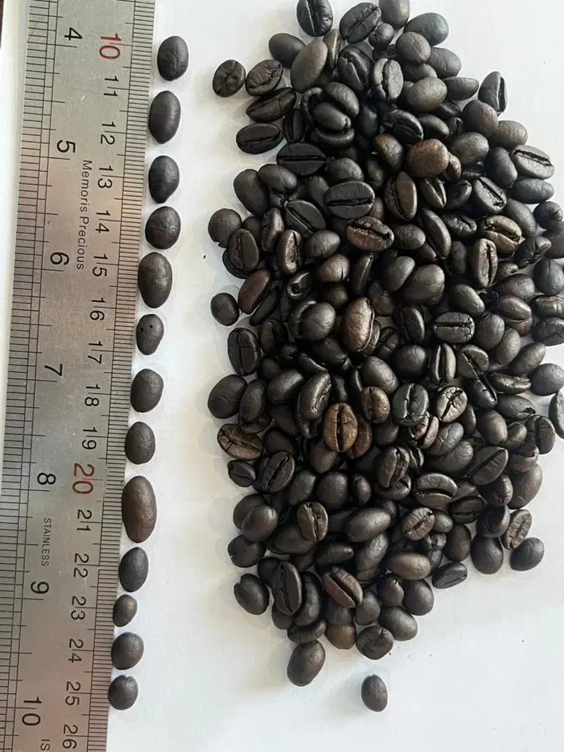 قهوه تازه رست شده|کافی‌شاپ و رستوران|بندر انزلی, ژاندارمری|دیوار