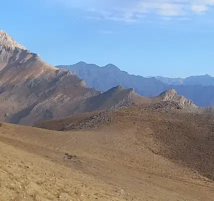 کاه سفید|لوازم جانبی حیوانات|خاوه, |دیوار