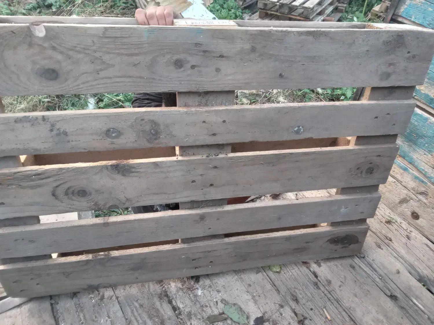 پالت نرادتمیز|خدمات پیشه و مهارت|لاهیجان, لیالستان|دیوار