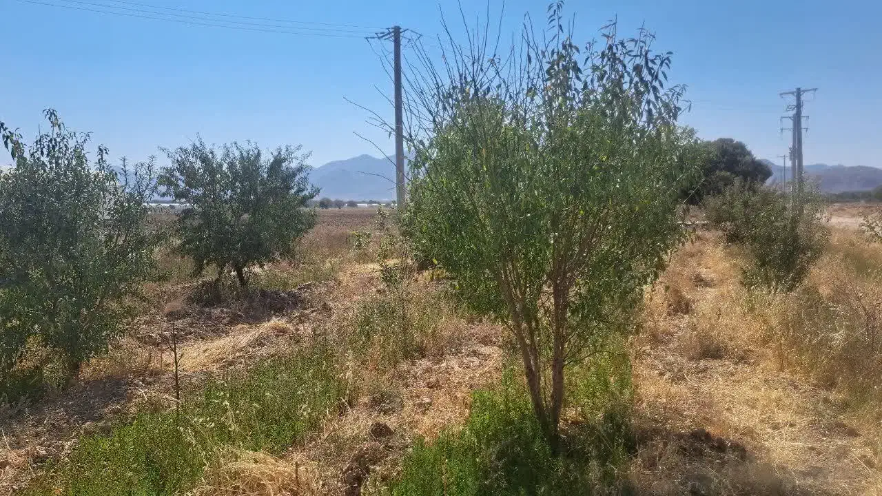 باغ ۸۰۰ متری|فروش زمین و ملک کلنگی|دهاقان, |دیوار