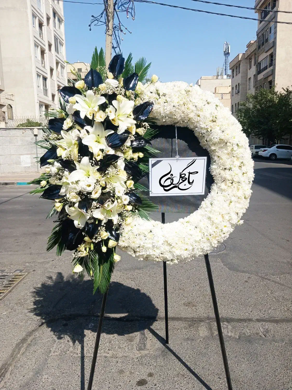 تاج گل اروپایی ترحیم|گل و گیاه طبیعی|تهران, میرداماد|دیوار