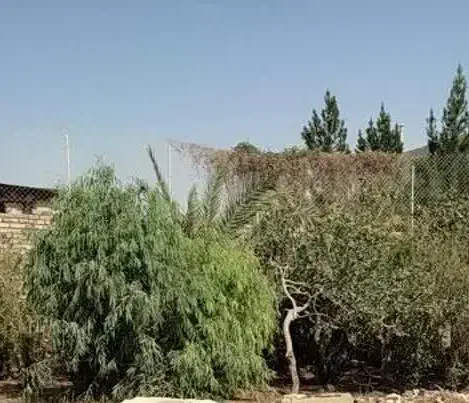 زمین چهار دیواری با ۵۰ متر ساخت بحر قلعه کامکار|فروش زمین و ملک کلنگی|قم, قلعه کامکار|دیوار
