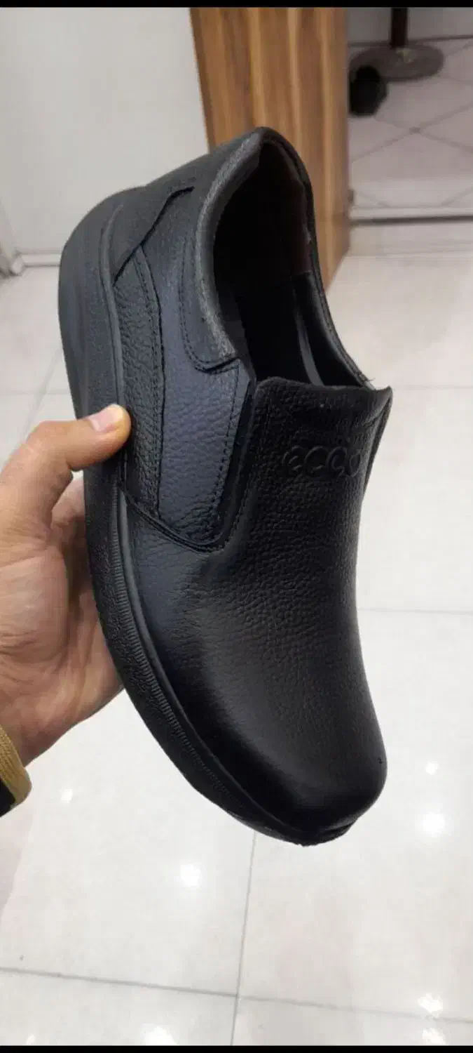 کفش های تک سایز|کیف، کفش، کمربند|قم, نیروگاه|دیوار