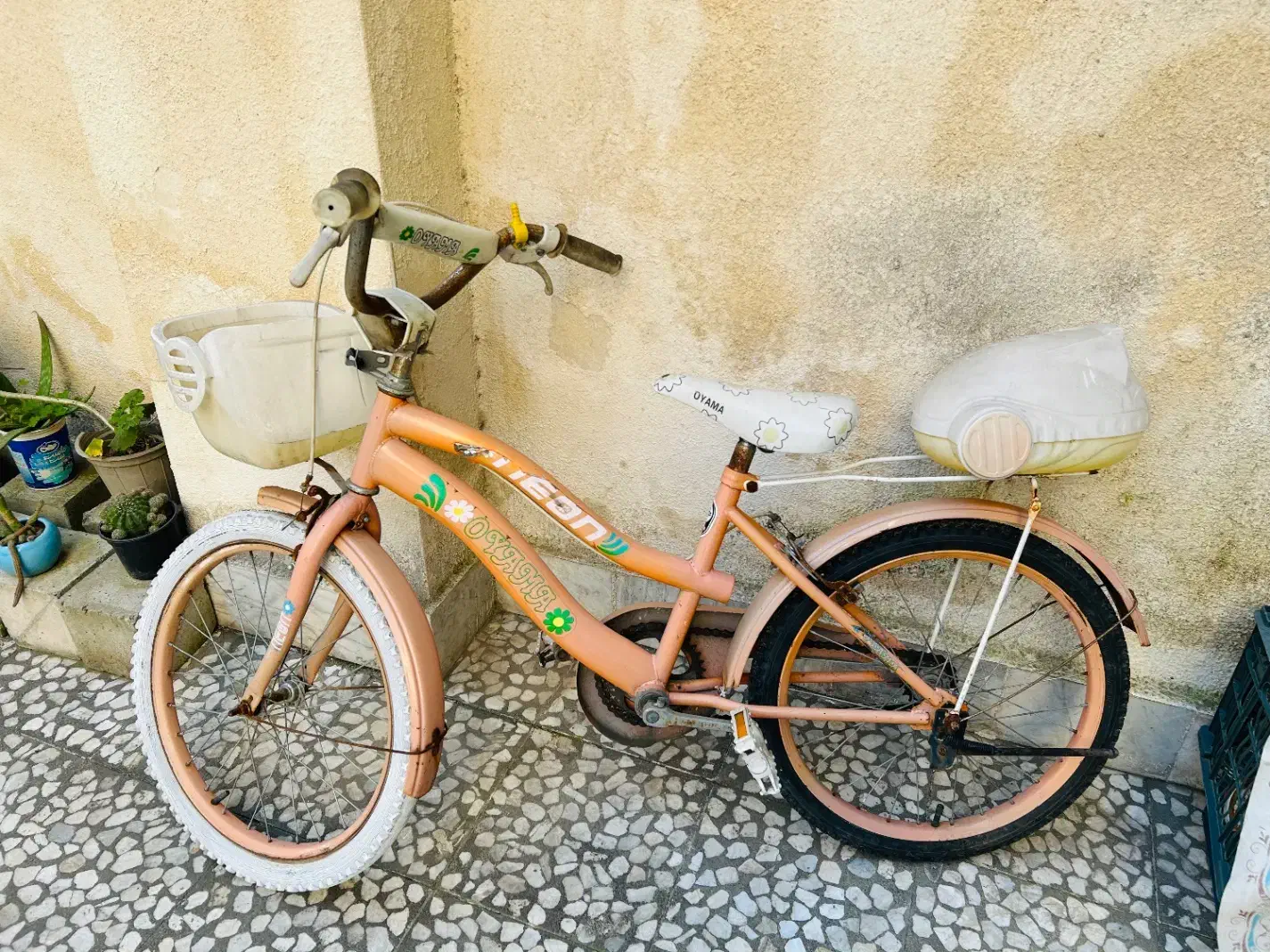 دوچرخه|دوچرخه، اسکیت، اسکوتر|رشت, دروازه لاکان|دیوار