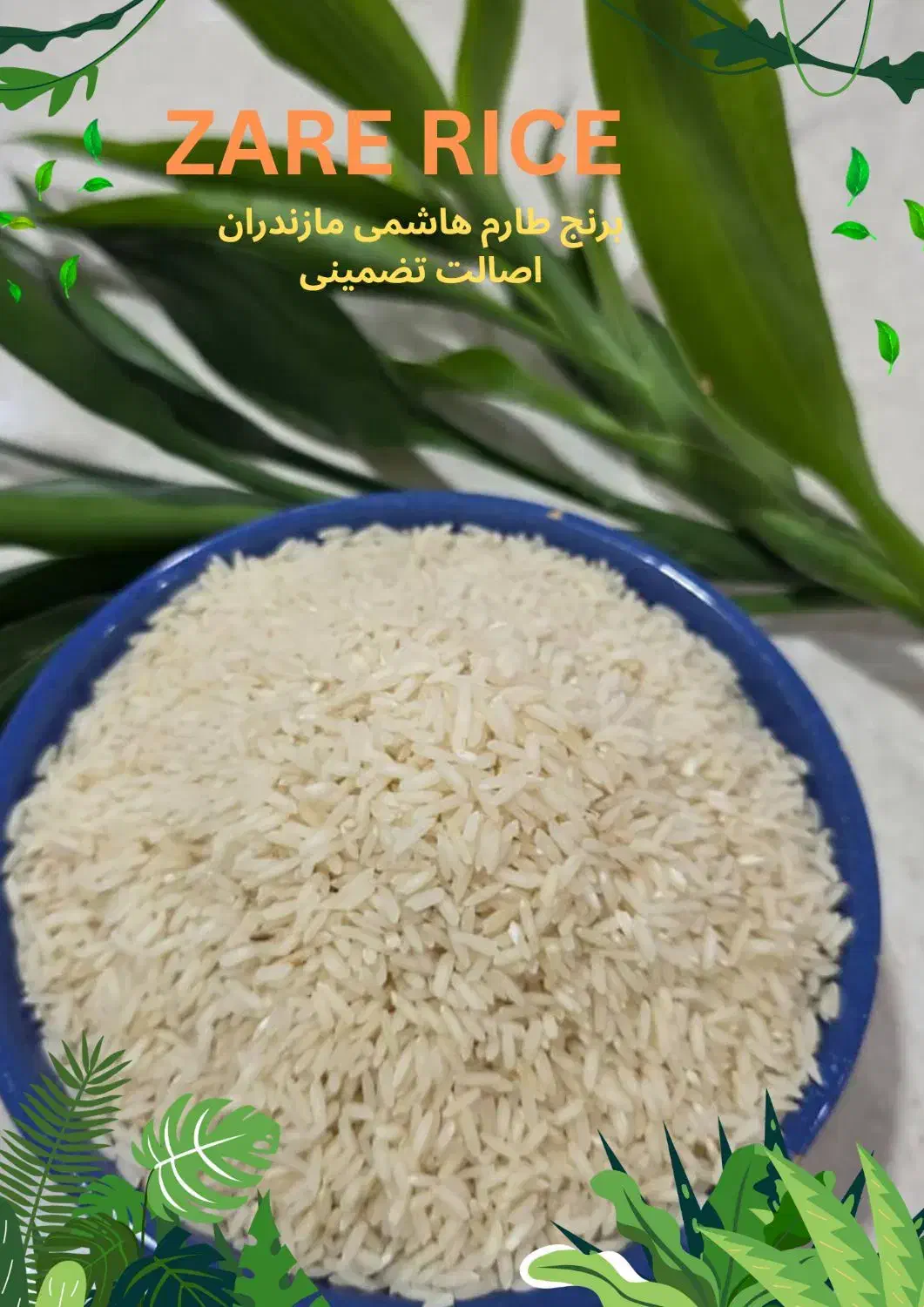 RICE طارم مازندران درجه یک|خوردنی و آشامیدنی|جم, |دیوار