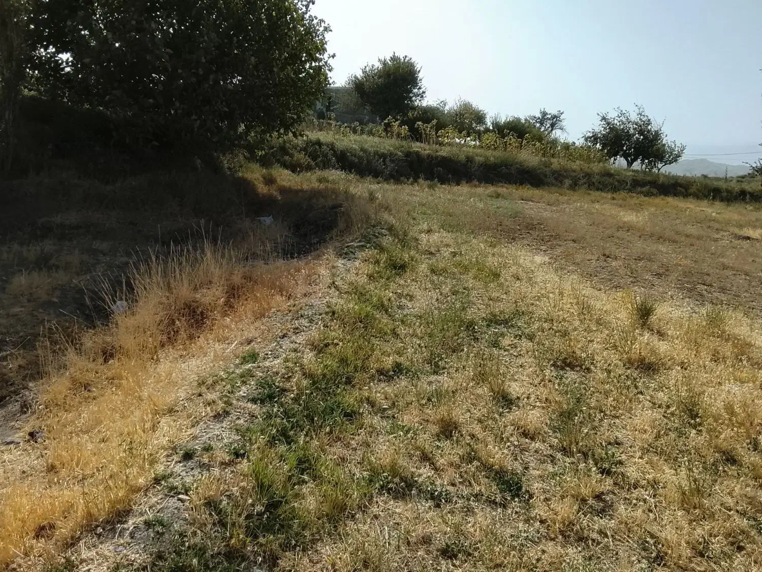 خانه وزمین|فروش خانه و ویلا|فریمان, |دیوار