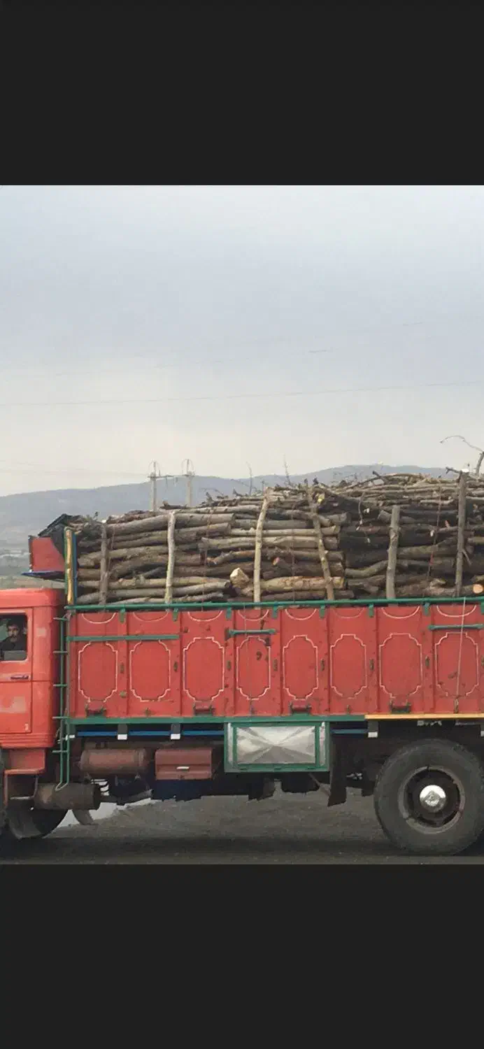 خرید و فروش چوب|خدمات باغبانی و درختکاری|تویسرکان, |دیوار