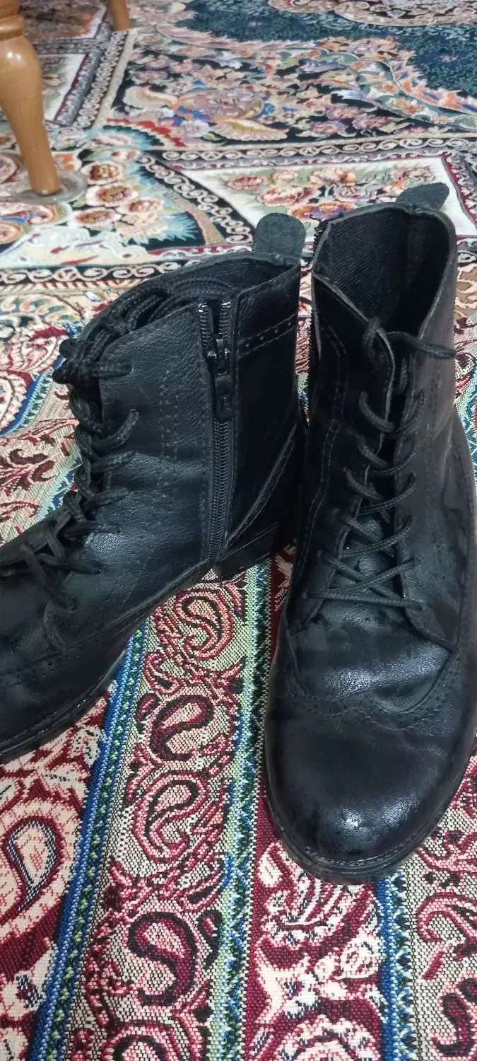 پوتین سایز38|کیف، کفش، کمربند|تربت جام, میان جام|دیوار