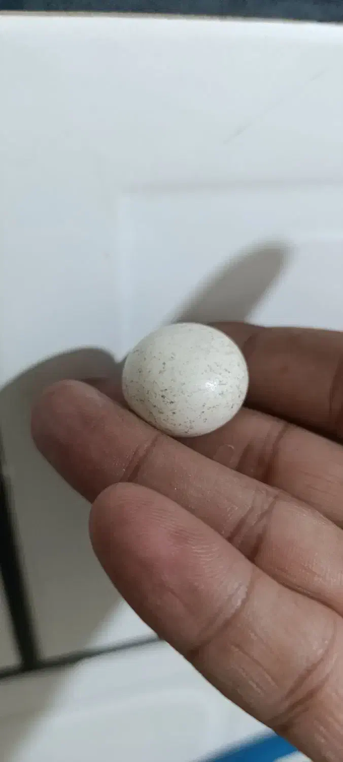 سنگ آسیاب|جواهرات|خمینیشهر, |دیوار