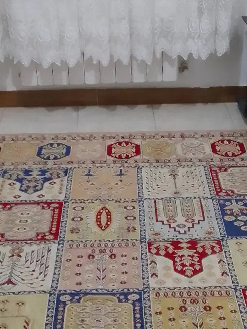 فرش ۶ متری ابریشم تخفیف دارد|فرش|آستانه اشرفیه, |دیوار